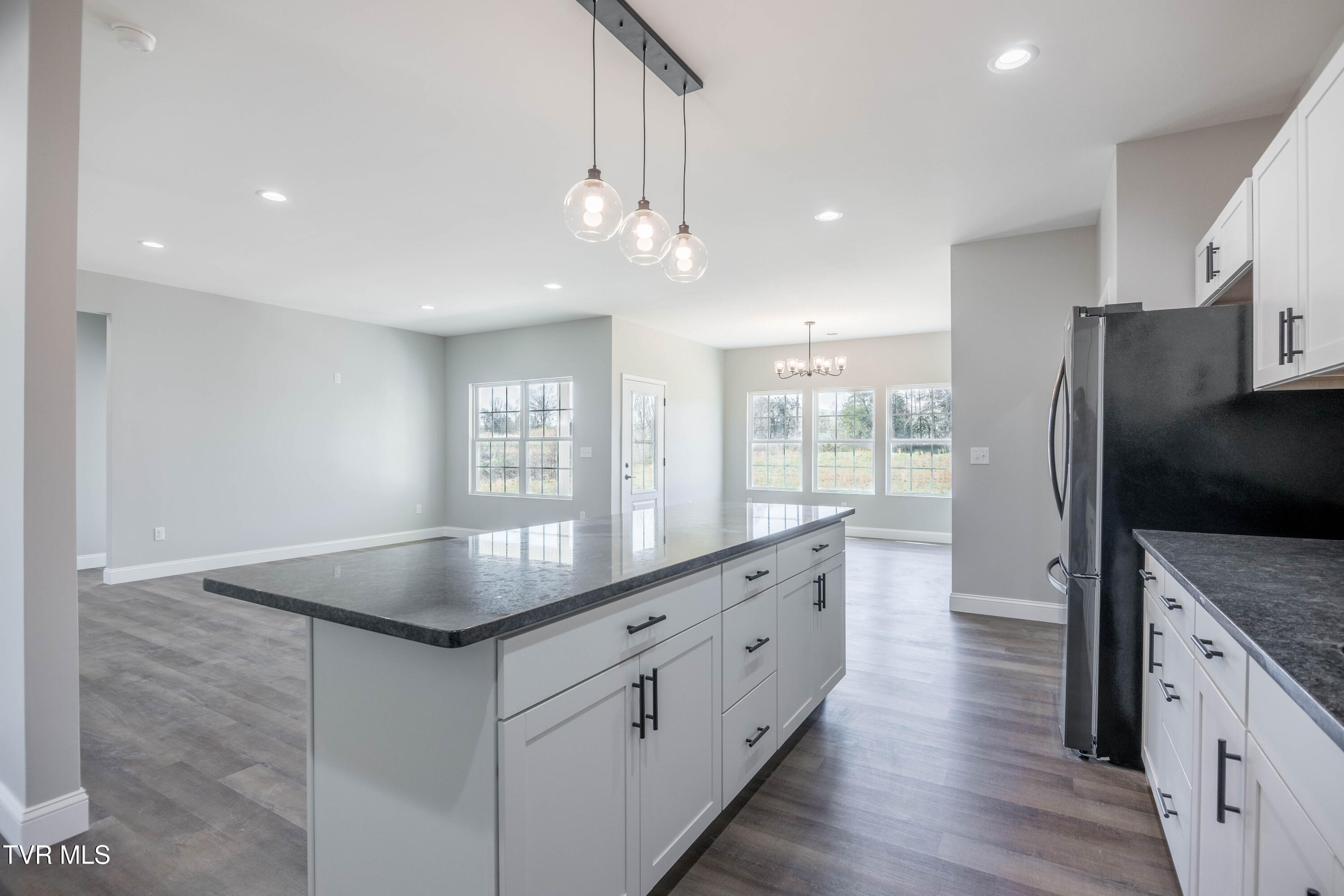 550 Gibson Loop Afton, TN 37616 - Photo 9 of 29 087A9816-HDR