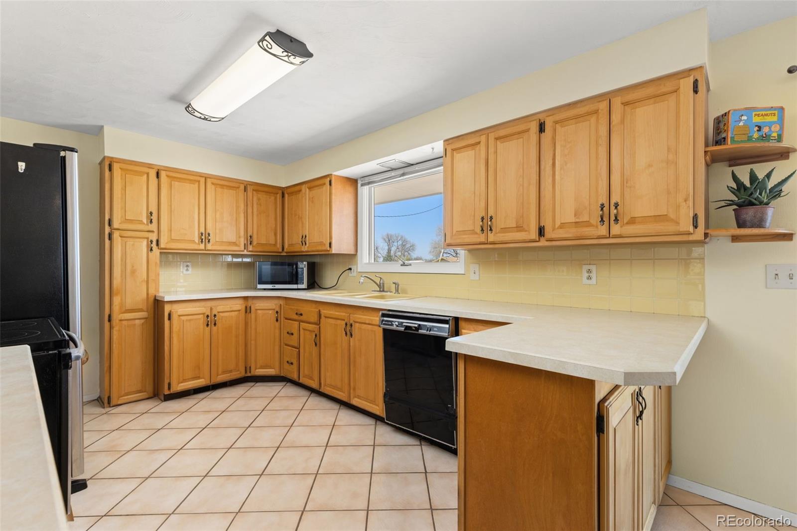 218 Bothun Road Berthoud, CO 80513 - Photo 8 of 35 Gallery Image 8