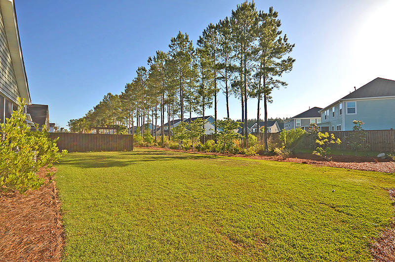 247 Overcup Loop Summerville, SC 29486 - Photo 36 of 40 DSC_0045-copy