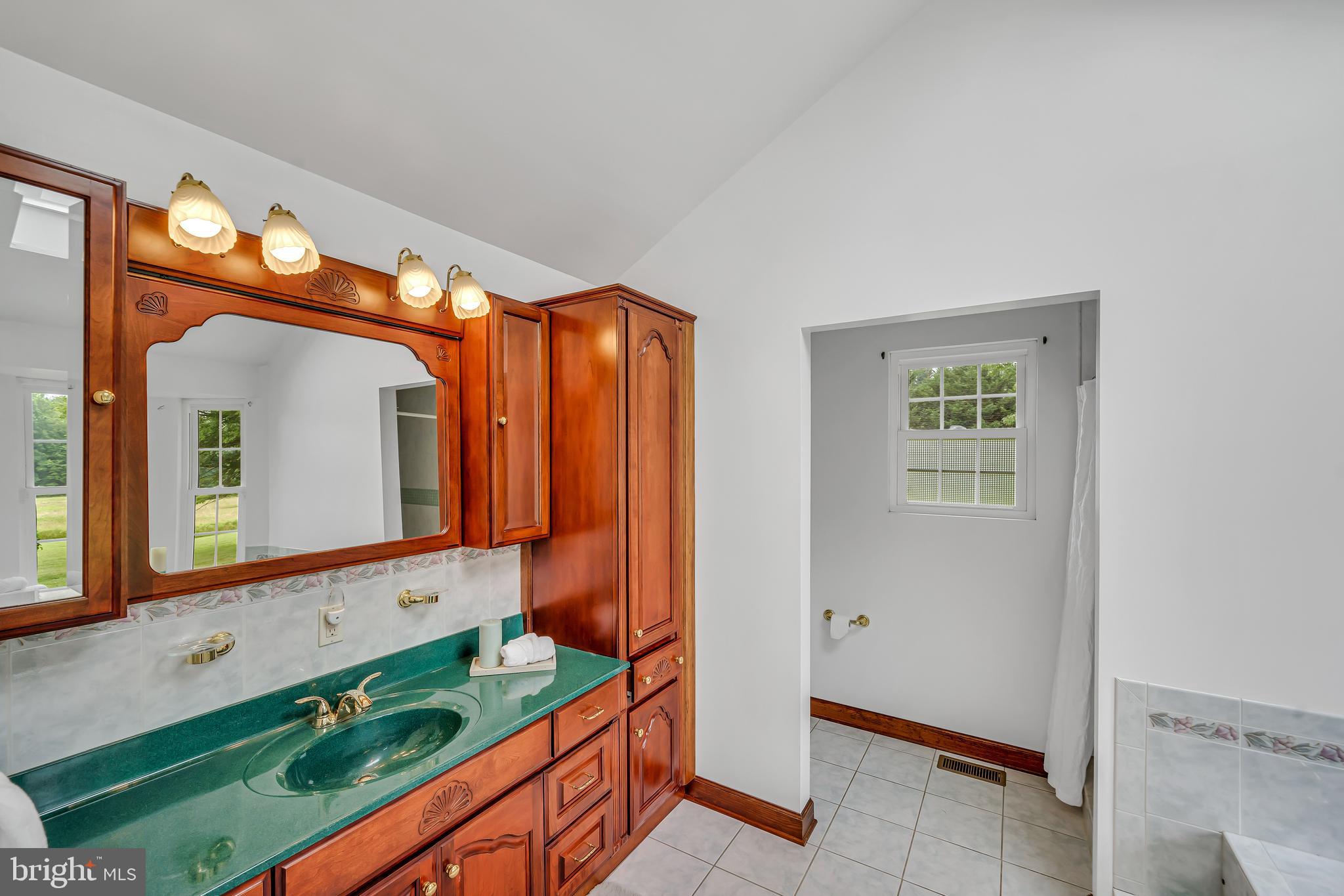 284 Little New York Road Rising Sun, MD 21911 - Photo 23 of 61 Primary bathroom with jetted tub & large shower