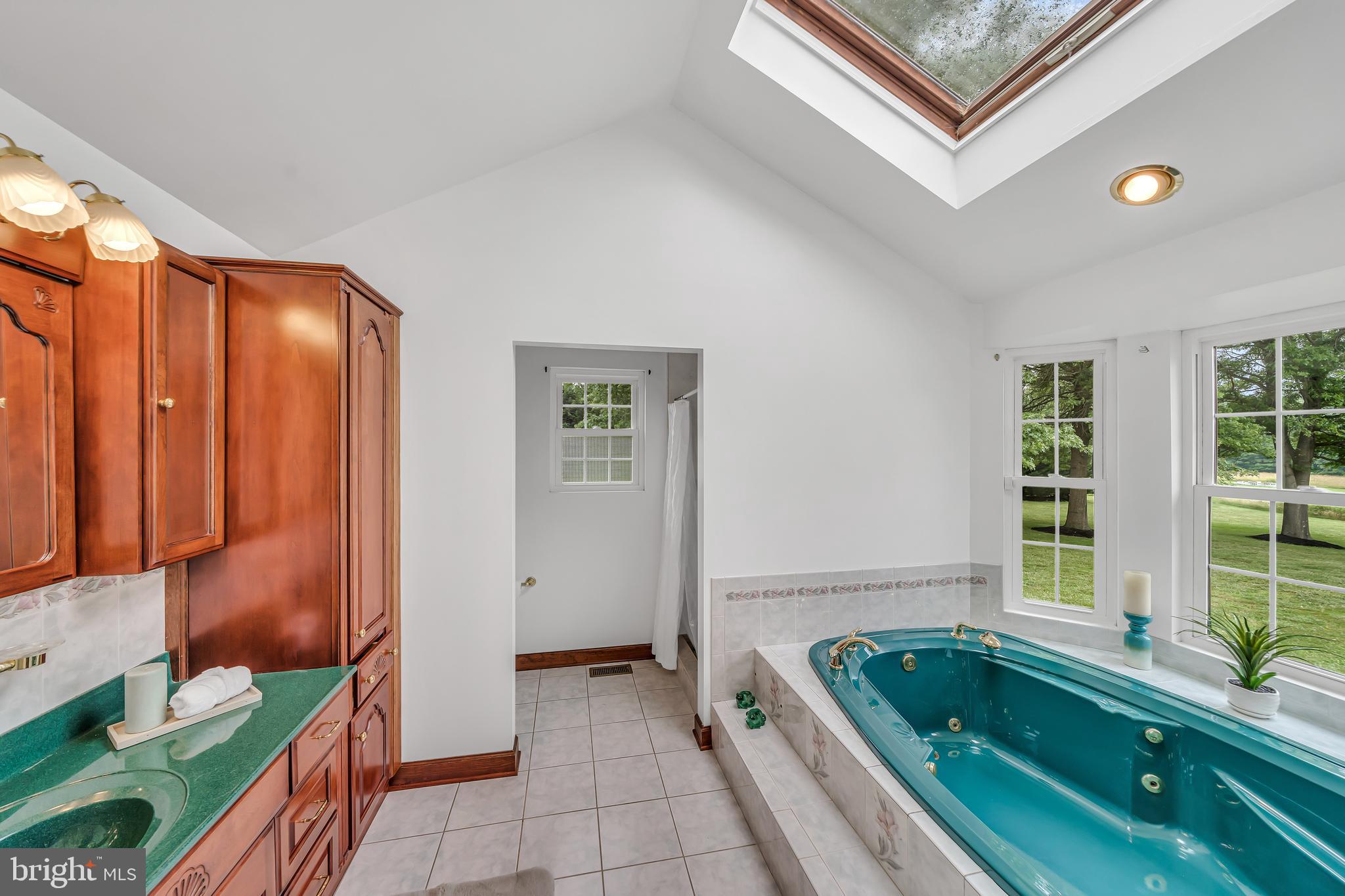 284 Little New York Road Rising Sun, MD 21911 - Photo 24 of 61 Primary bathroom with jetted tub & large shower