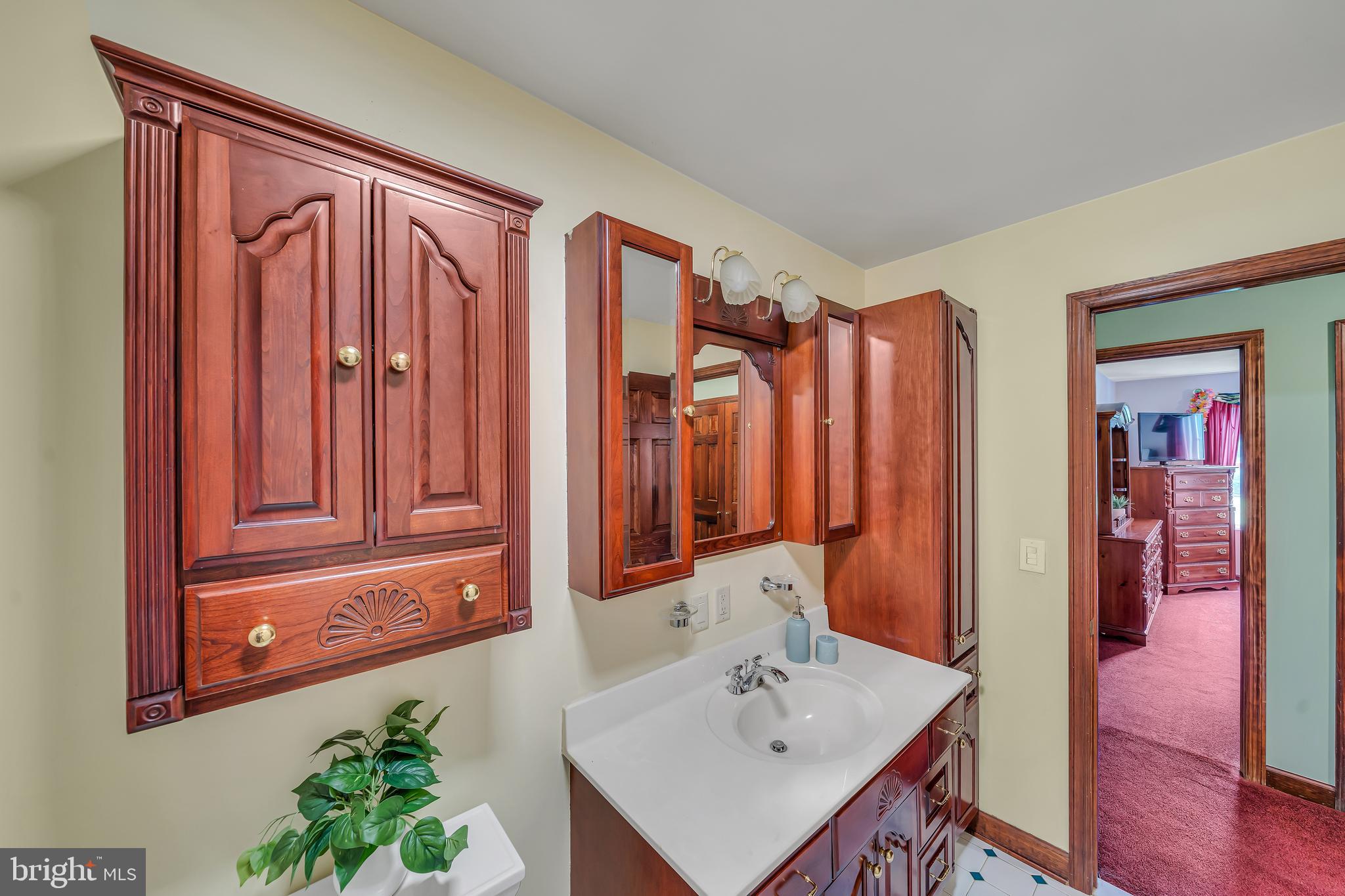 284 Little New York Road Rising Sun, MD 21911 - Photo 31 of 61 Full hall bathroom