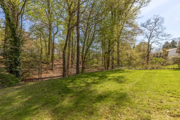 a view of yard with trees