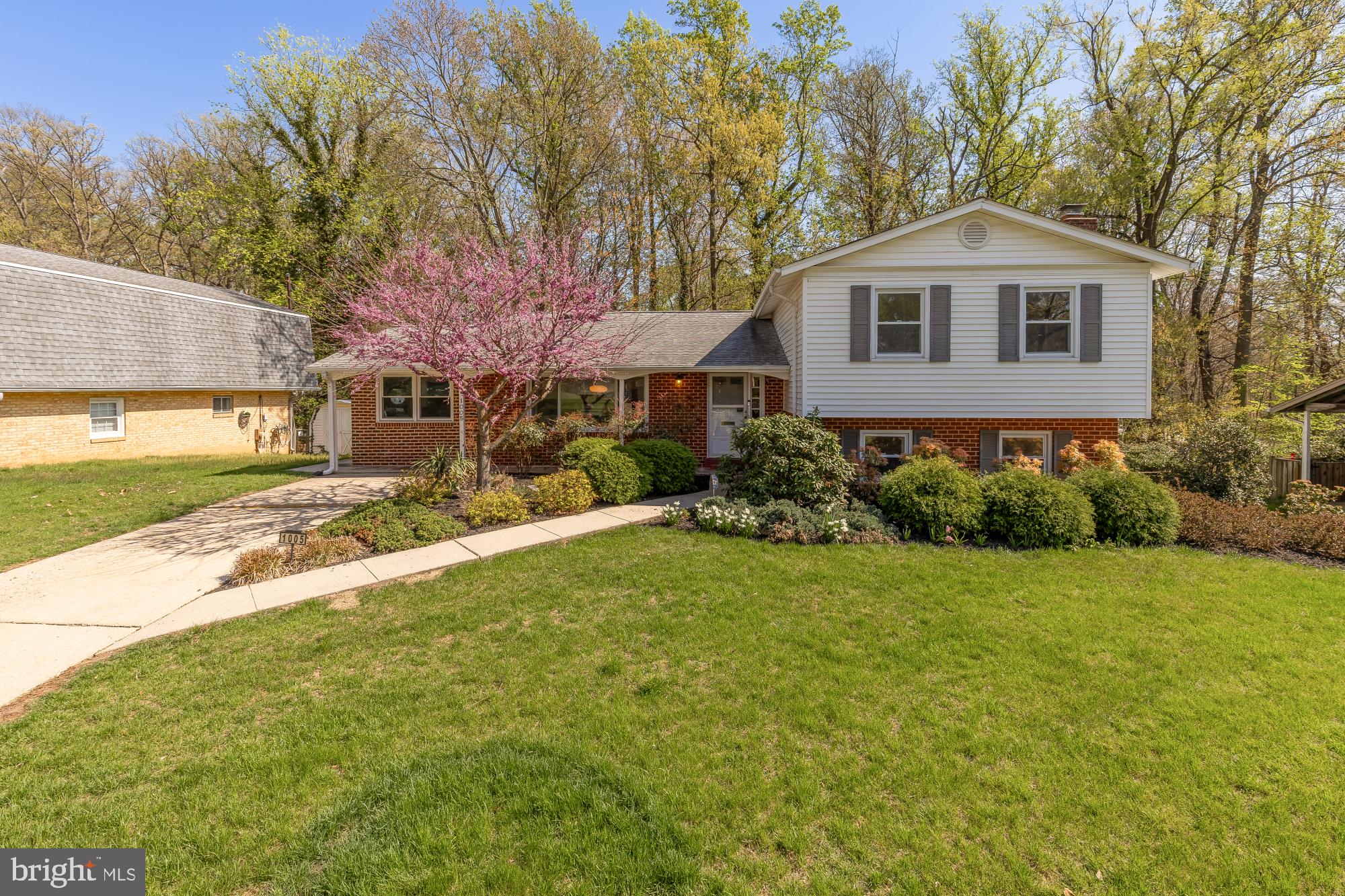 1005 Ruppert Road Silver Spring, MD 20903 - Photo 49 of 50