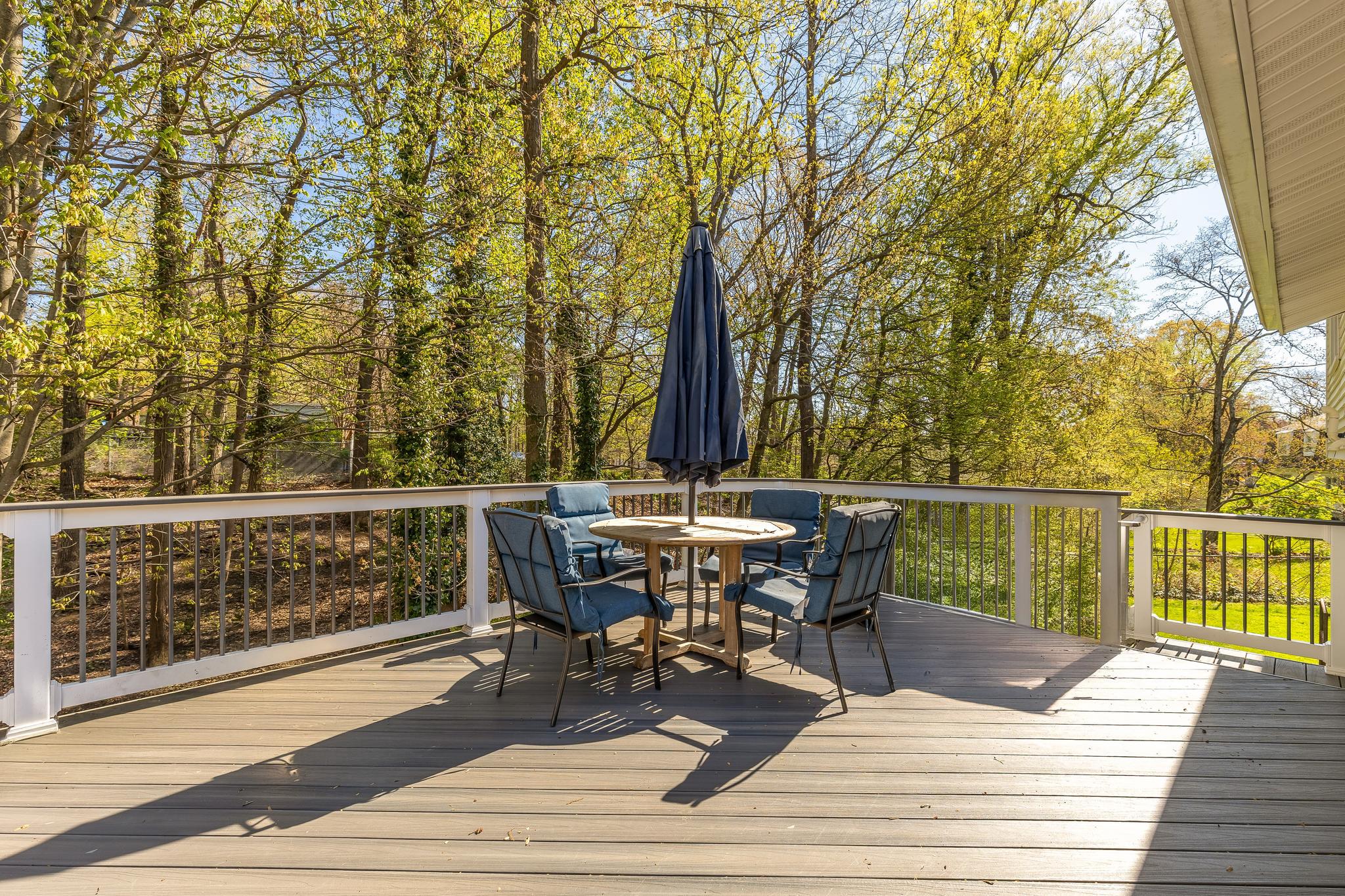 1005 Ruppert Road Silver Spring, MD 20903 - Photo 10 of 50 Extremely private backyard