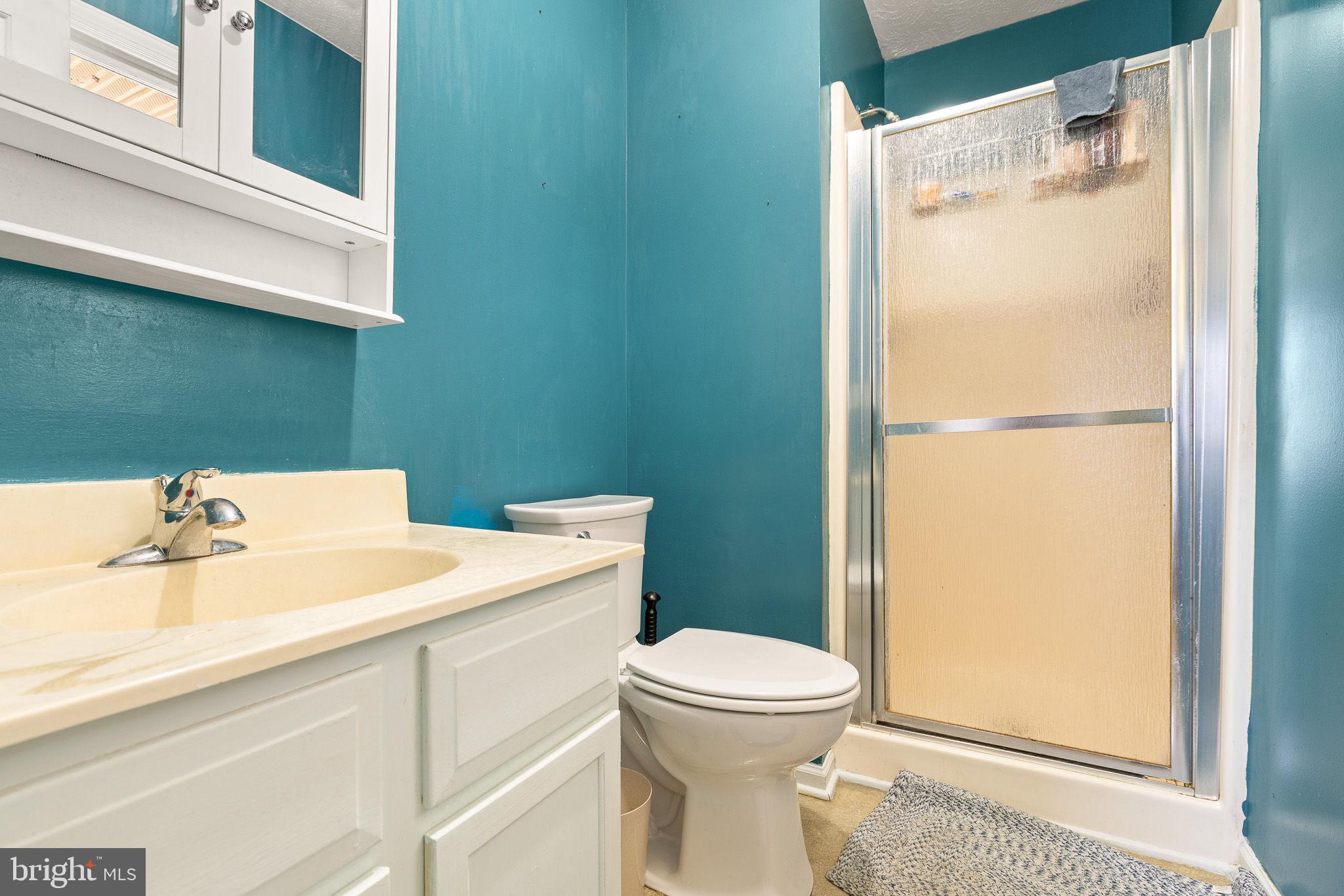 6794 Ottobine Road Dayton, VA 22821 - Photo 15 of 32 a bathroom with a sink a toilet and shower