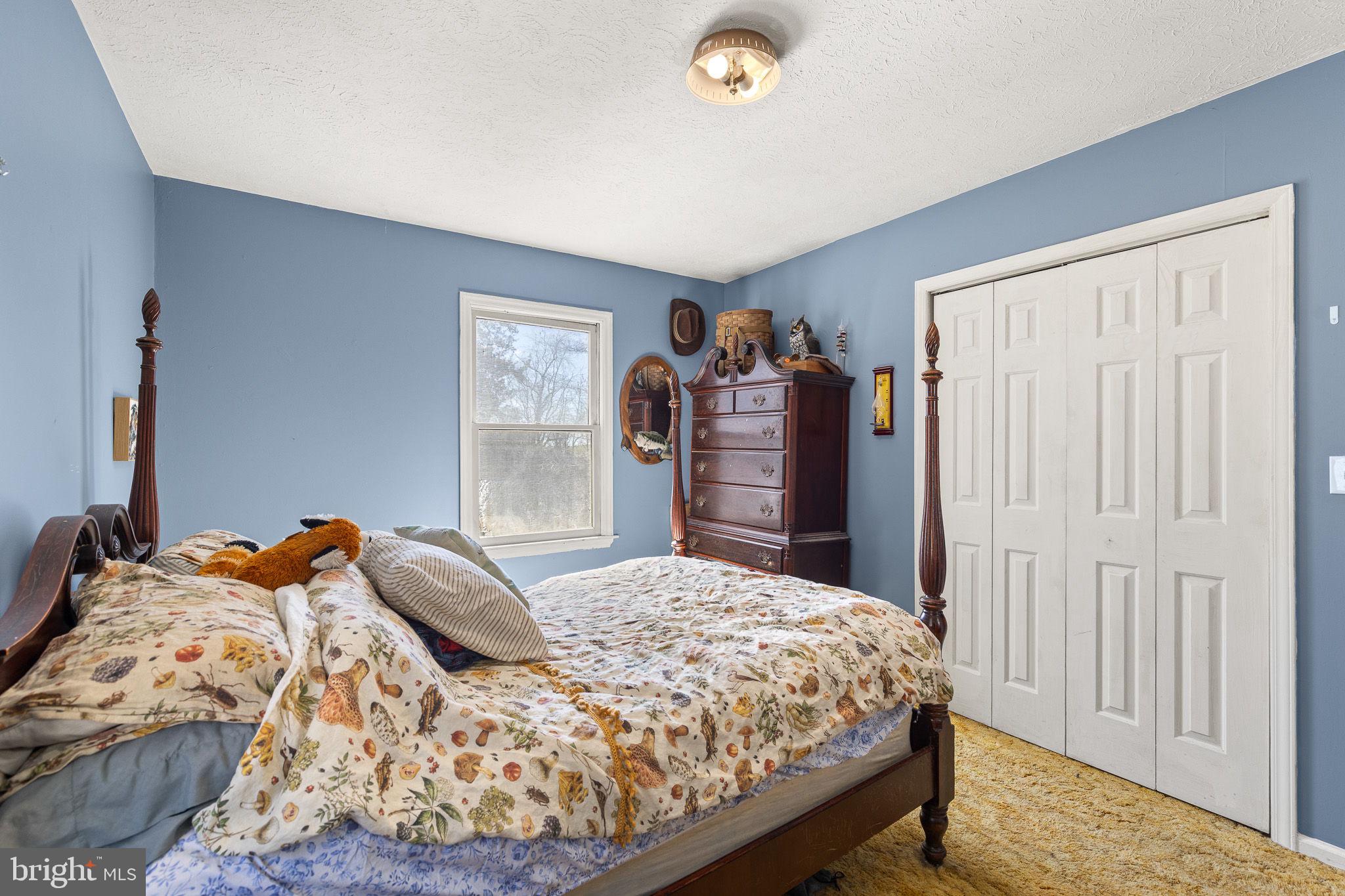 6794 Ottobine Road Dayton, VA 22821 - Photo 17 of 32 a bedroom with a bed and a closet