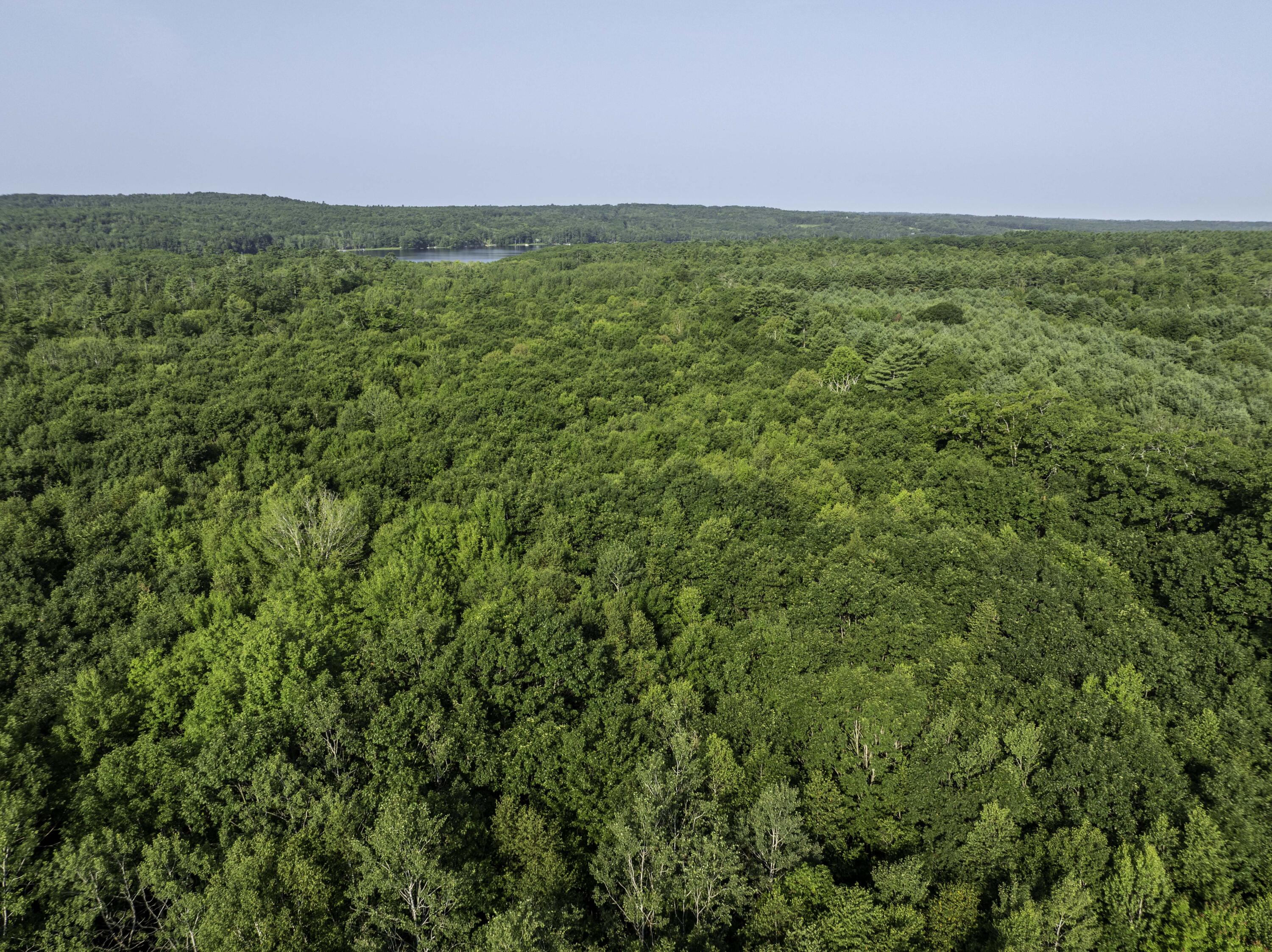 0 Atlantic Highway Thomaston, ME 04861 - Photo 21 of 41 00 Atlantic Hwy, Warren (21 of 38)
