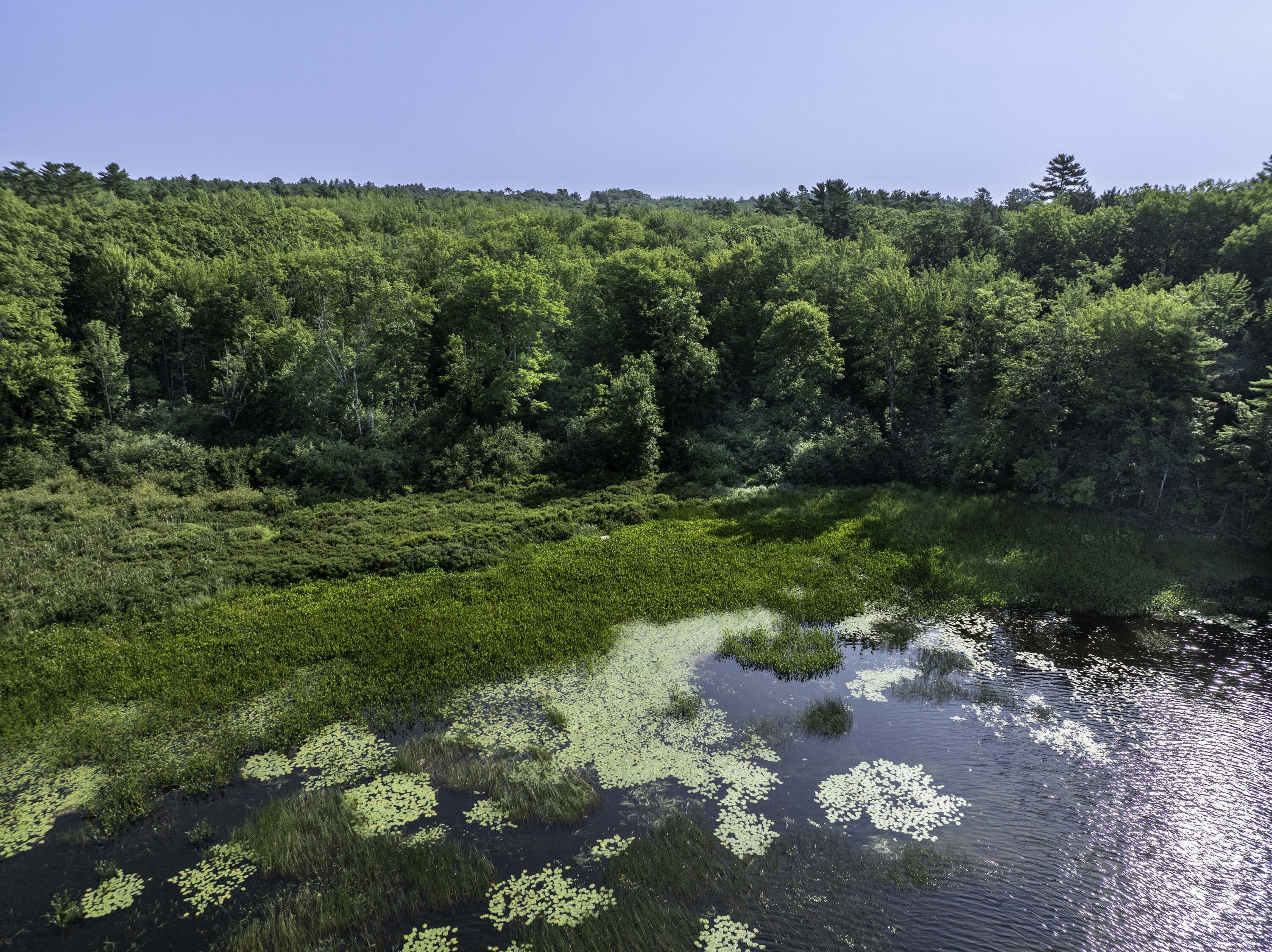 0 Atlantic Highway Thomaston, ME 04861 - Photo 33 of 41 00 Atlantic Hwy, Warren (33 of 38)