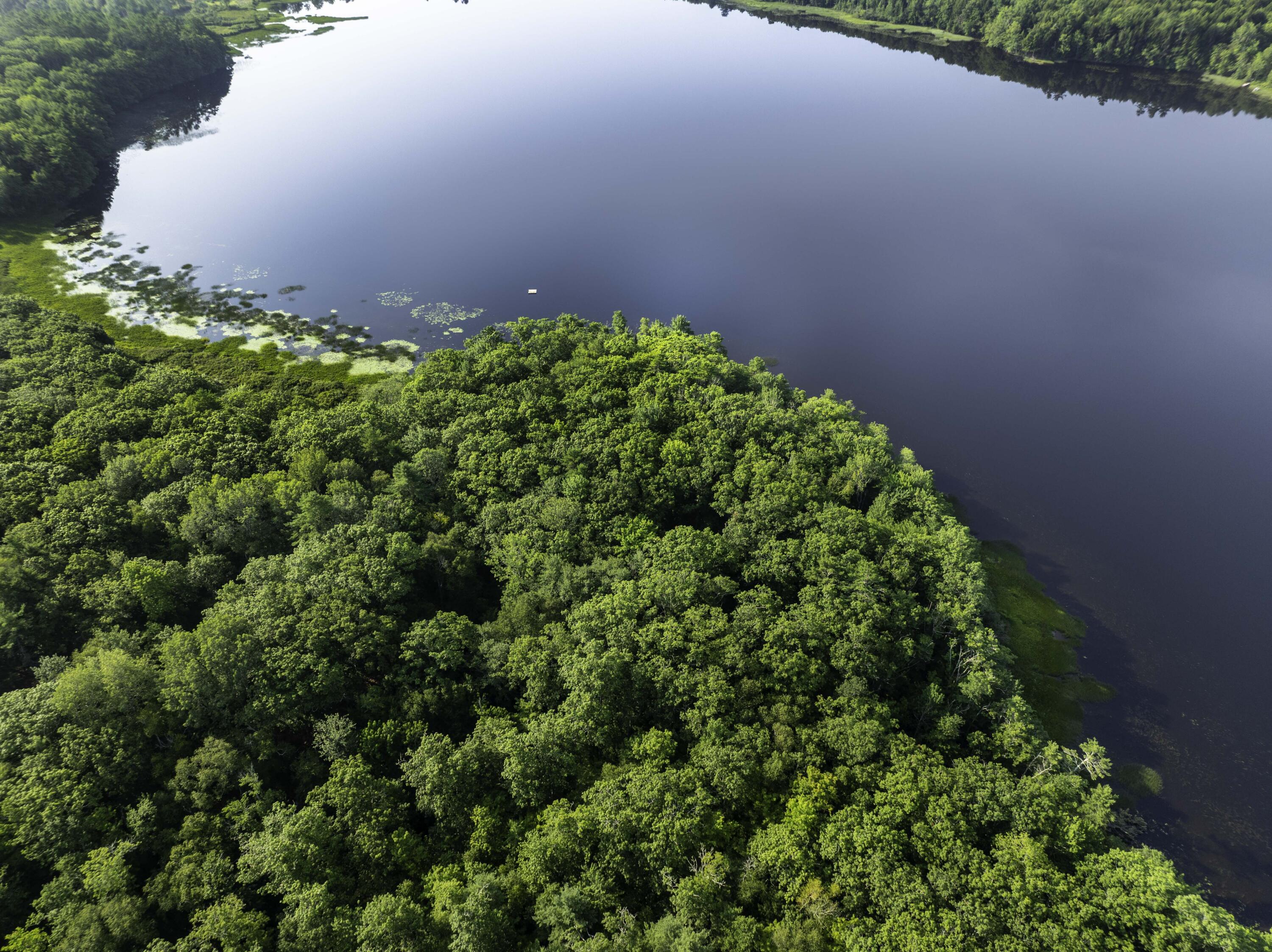 0 Atlantic Highway Thomaston, ME 04861 - Photo 6 of 41 00 Atlantic Hwy, Warren (6 of 38)