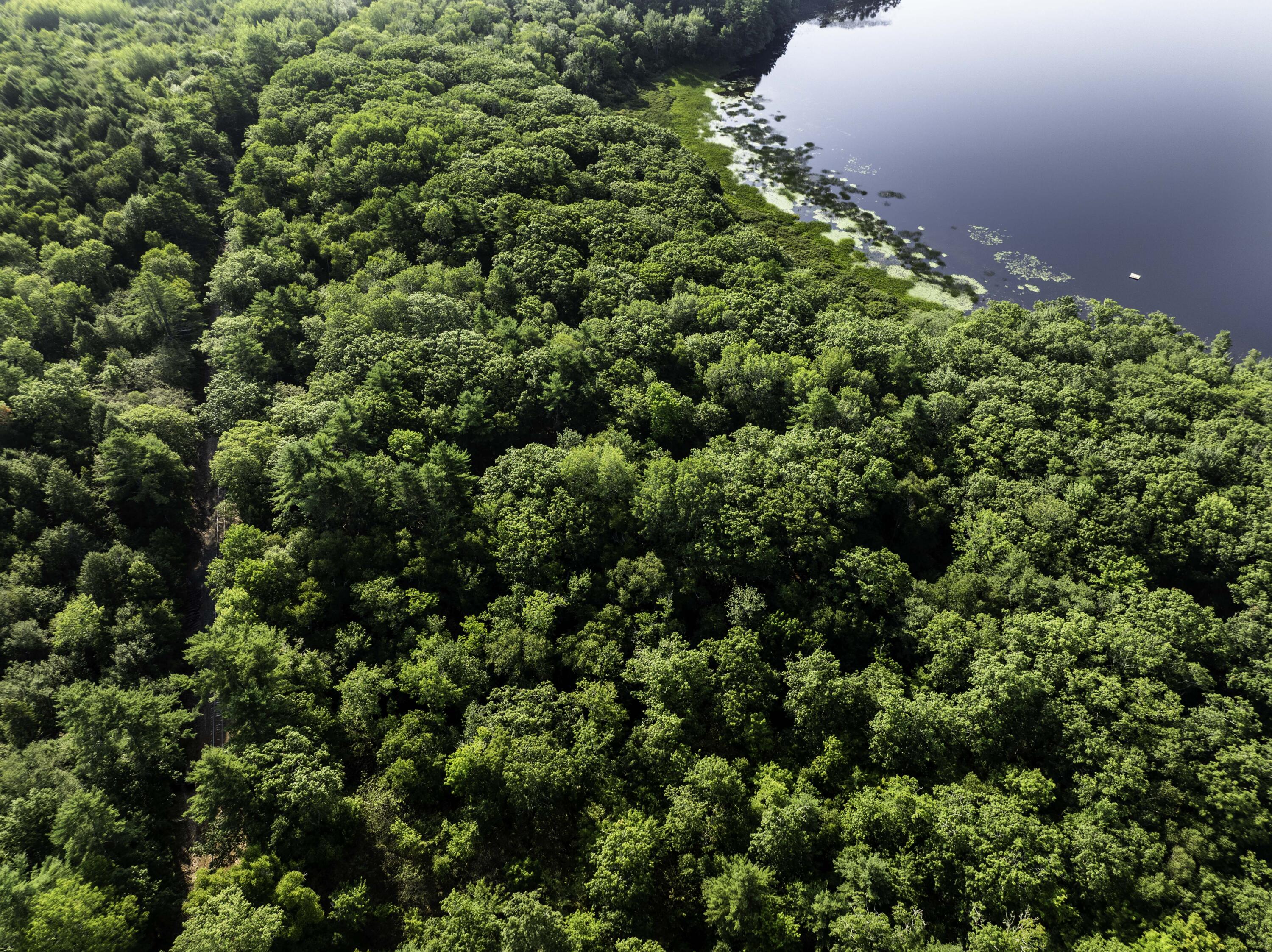 0 Atlantic Highway Thomaston, ME 04861 - Photo 7 of 41 00 Atlantic Hwy, Warren (7 of 38)