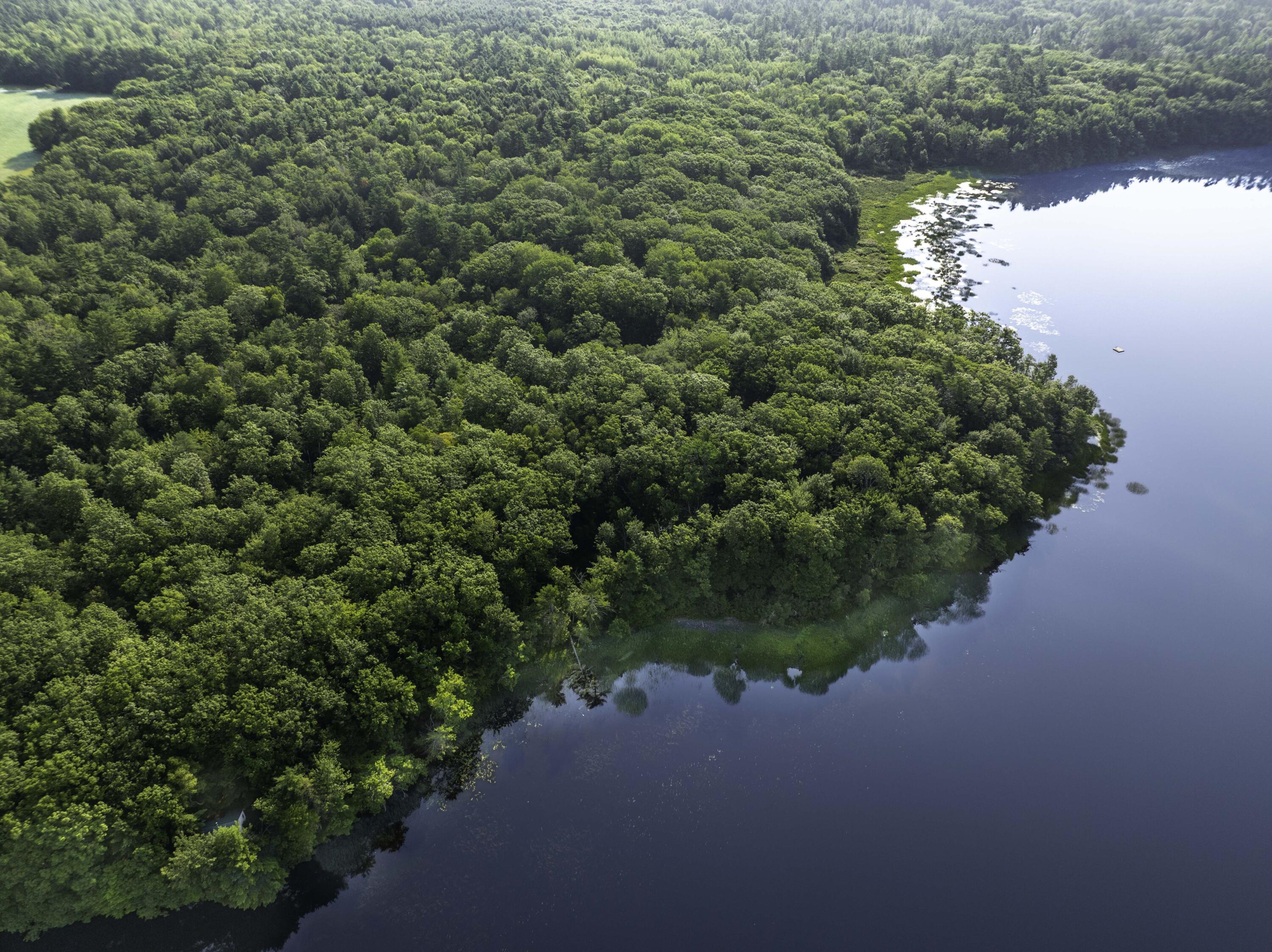 0 Atlantic Highway Thomaston, ME 04861 - Photo 9 of 41 00 Atlantic Hwy, Warren (9 of 38)