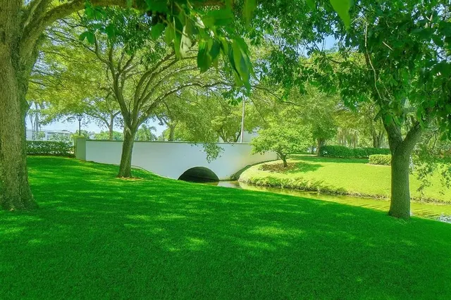 a view of a park with a tree