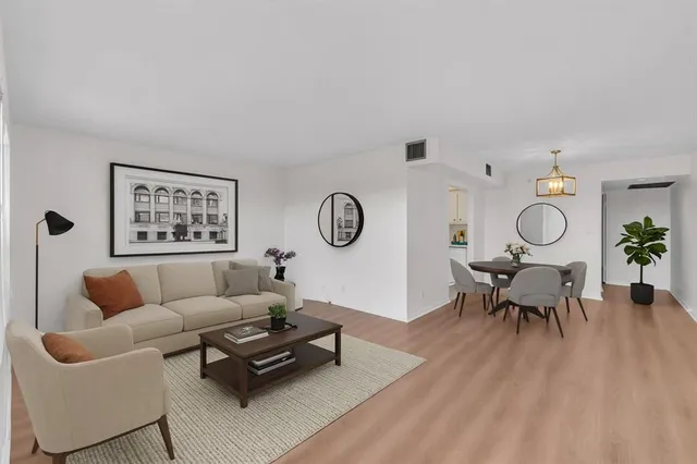 a living room with furniture a rug potted plant and a window