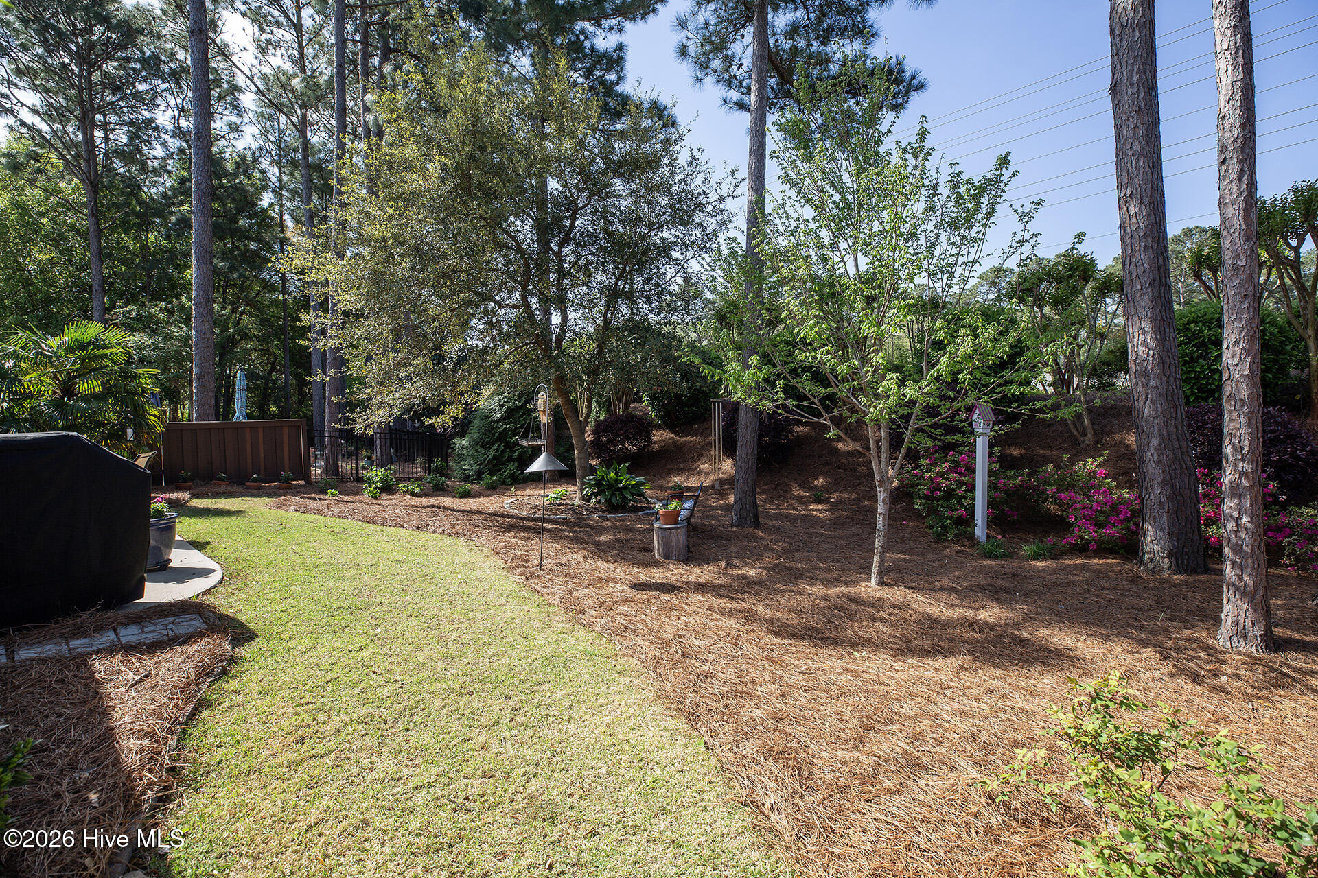 6432 Motts Village Road Wilmington, NC 28412 - Photo 40 of 50 MottsVillage6432-byrdSunnyL33A6235 copy