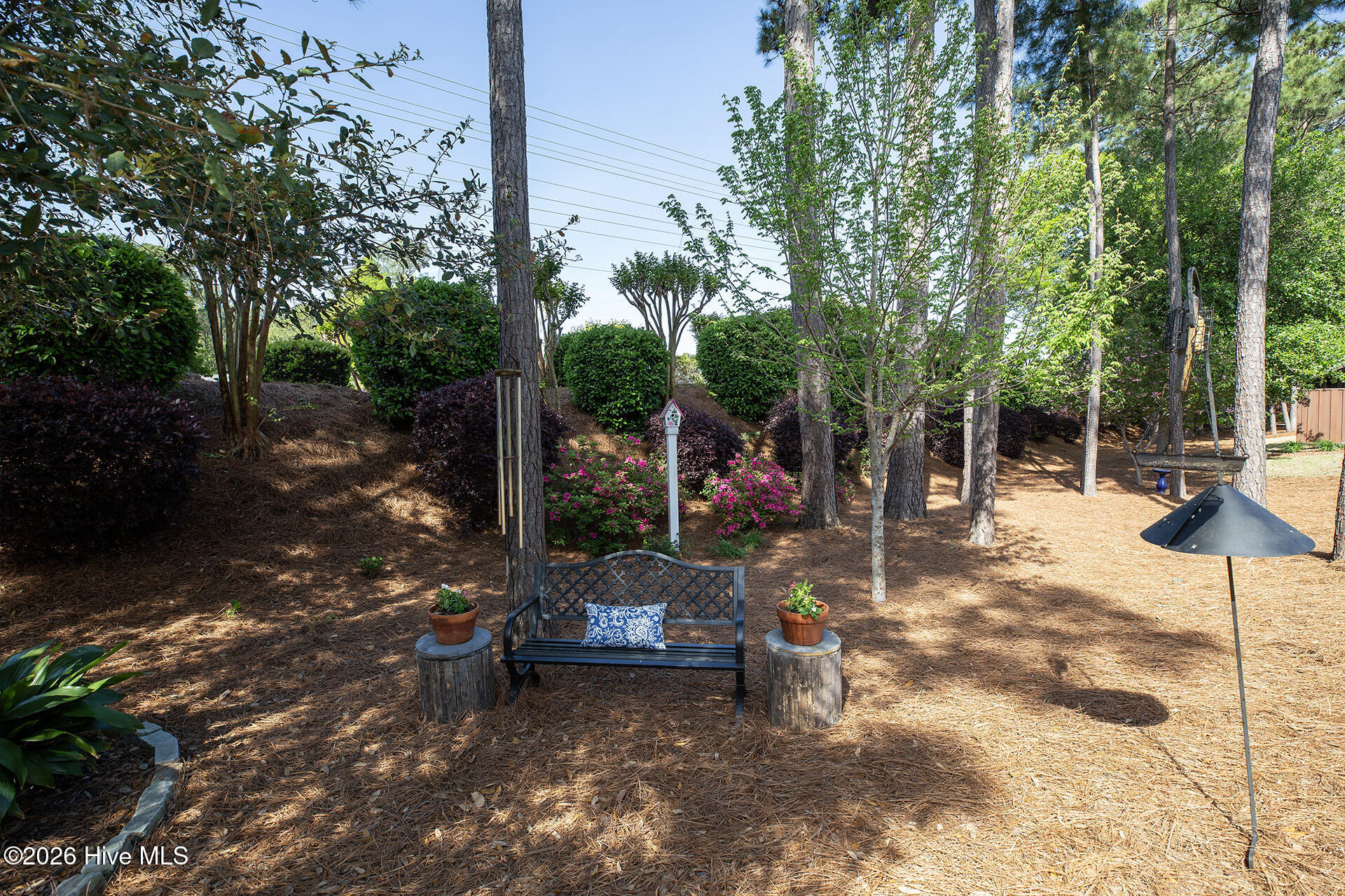 6432 Motts Village Road Wilmington, NC 28412 - Photo 41 of 50 MottsVillage6432-byrdSunnyL33A6261 copy