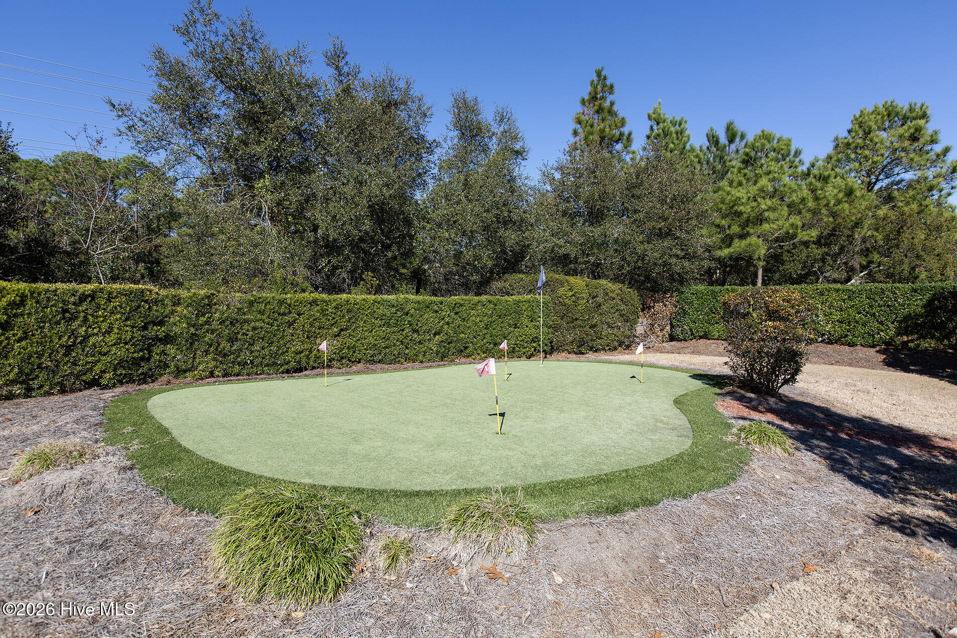 6432 Motts Village Road Wilmington, NC 28412 - Photo 46 of 50 Motts Landing golf1.2024L33A8810 copy