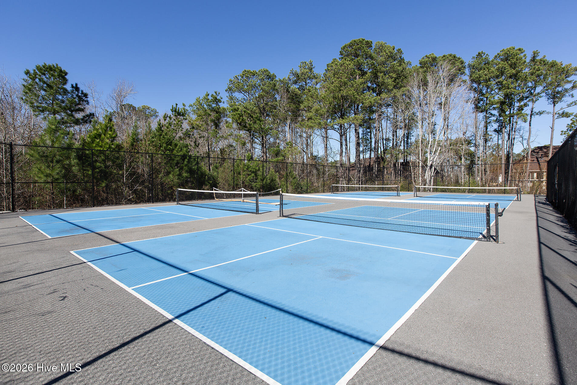 6432 Motts Village Road Wilmington, NC 28412 - Photo 47 of 50 Motts Landing Pickleball1.2024L33A8850 c