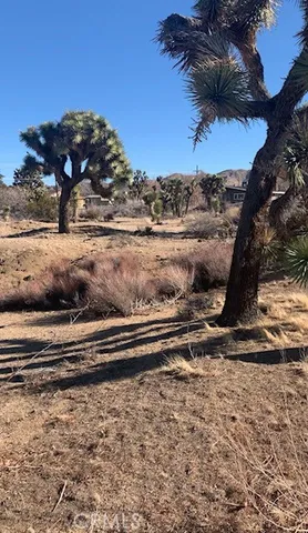 $28,000 | 8001 Aster Avenue, Yucca Valley, CA 92284