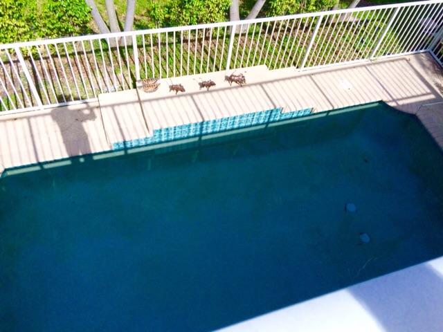 570 Anchor Point Delray Beach, FL 33444 - Photo 12 of 36 Pool