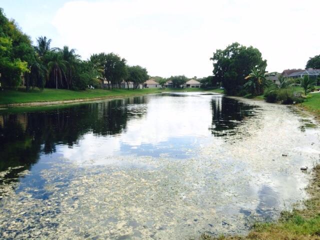 570 Anchor Point Delray Beach, FL 33444 - Photo 36 of 36 Internal lake