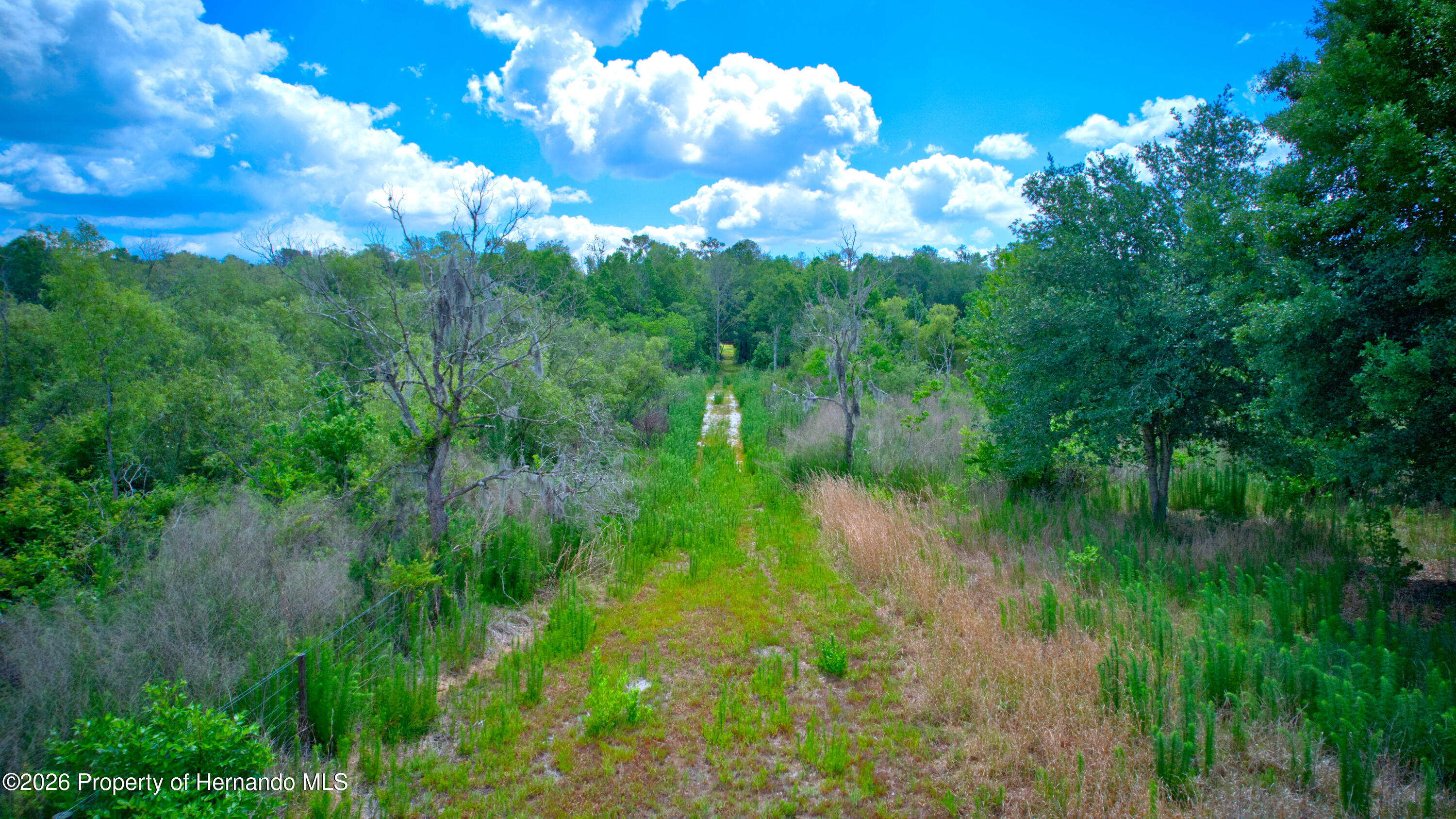 3267 Neff Lk Road Brooksville, FL 34602 - Photo 48 of 82