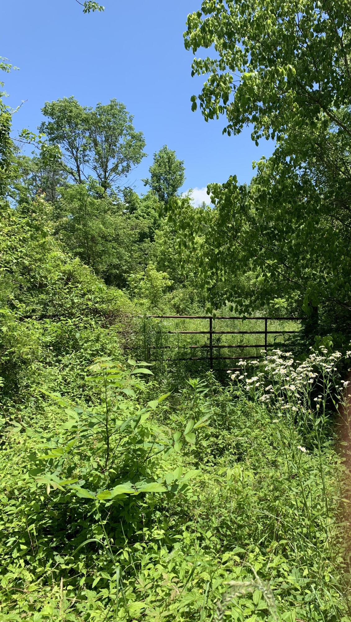 3130 Little Warrensburg Road Midway, TN 37809 - Photo 14 of 16 Gate at road