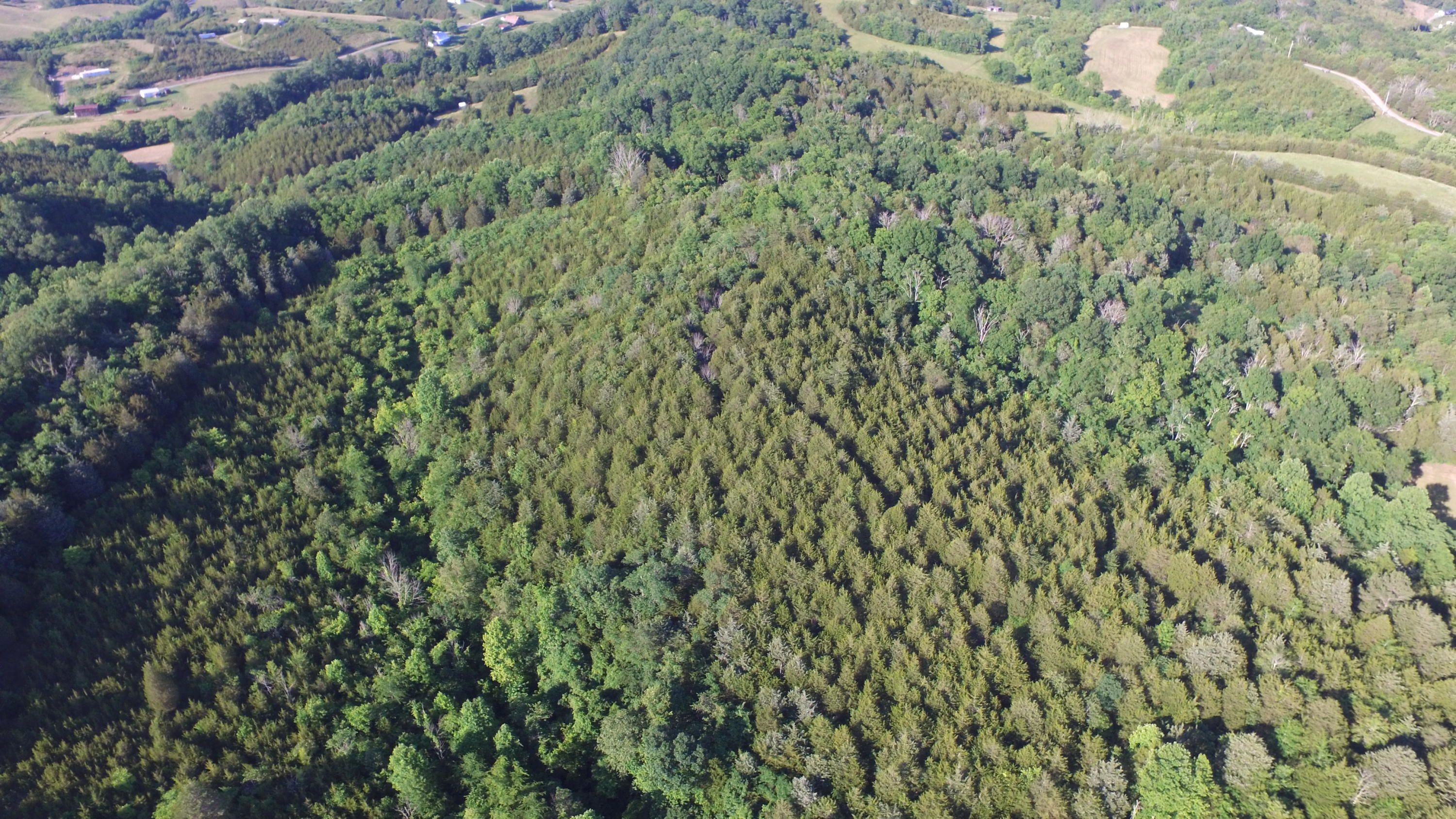 3130 Little Warrensburg Road Midway, TN 37809 - Photo 8 of 16 View of property from drone