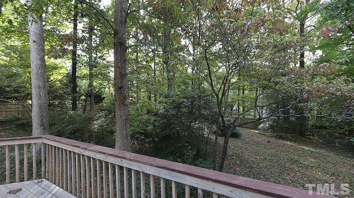 8700 Mourning Dove Road Raleigh, NC 27615 - Photo 29 of 30 a view of a forest from a window