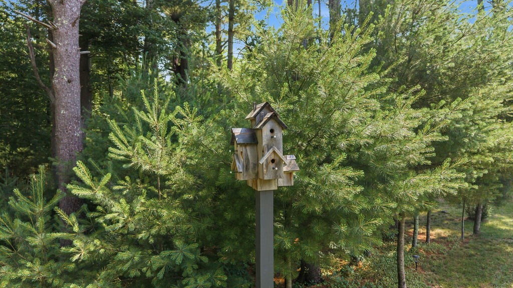 6 Dublin Road Rehoboth, MA 02769 - Photo 15 of 21 Gallery Image 15