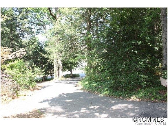 105 Hunting Country Road Tryon, NC 28782 - Photo 13 of 16 a view of a yard with plants and large trees