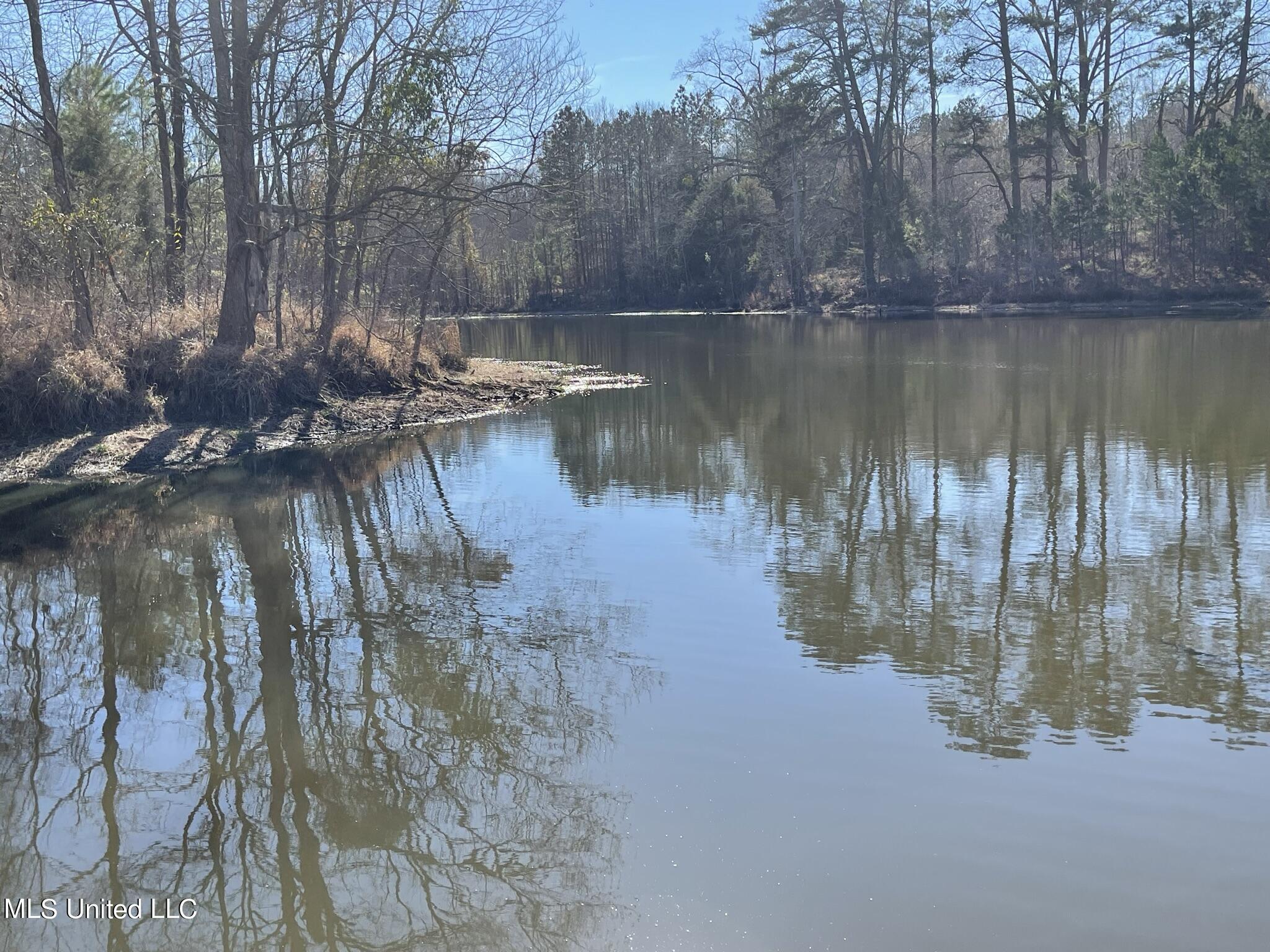 Ms-18 Raymond, MS 39154 - Photo 13 of 17 IMG_3722