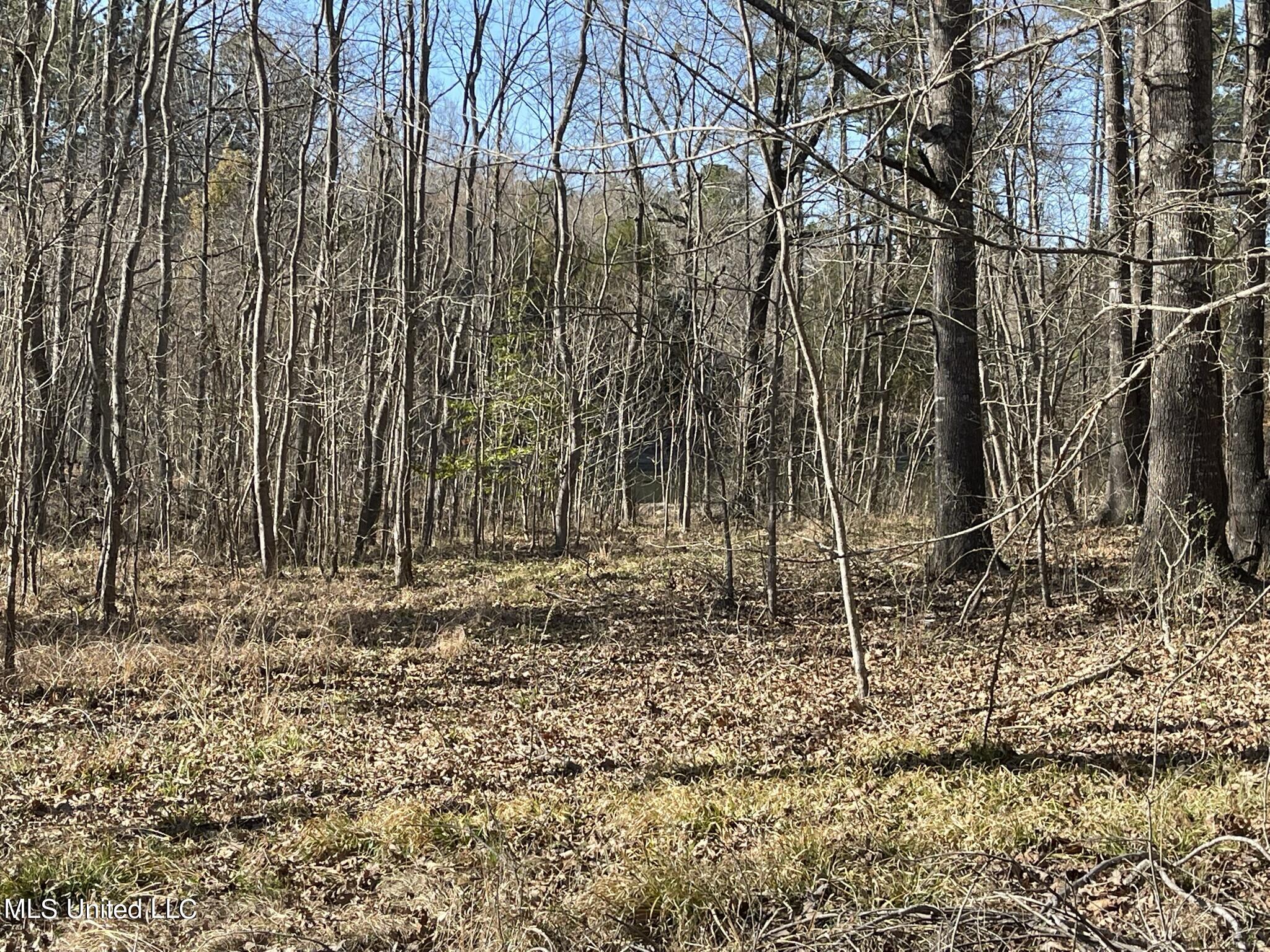 Ms-18 Raymond, MS 39154 - Photo 15 of 17 IMG_3729