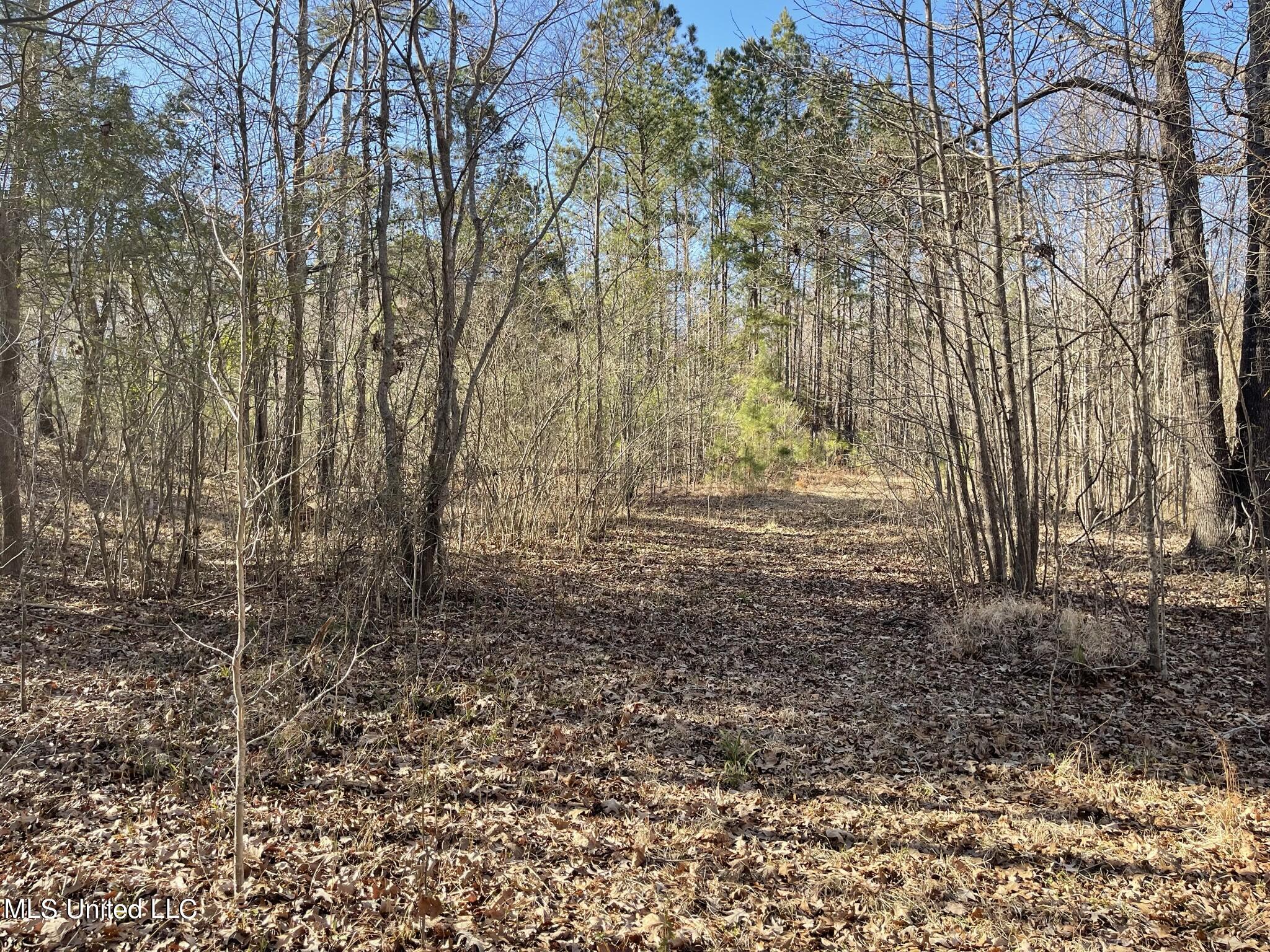 Ms-18 Raymond, MS 39154 - Photo 17 of 17 IMG_3732
