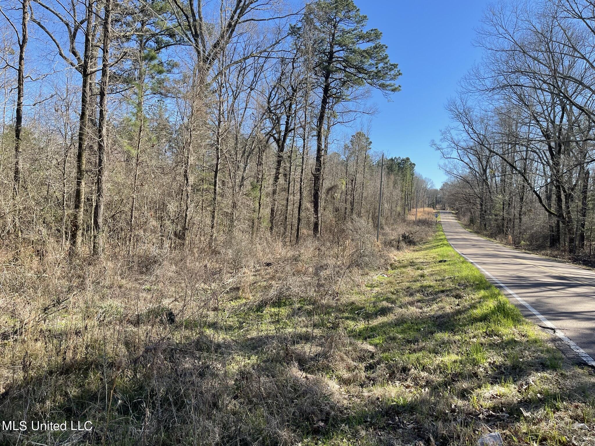 Ms-18 Raymond, MS 39154 - Photo 3 of 17 IMG_3708
