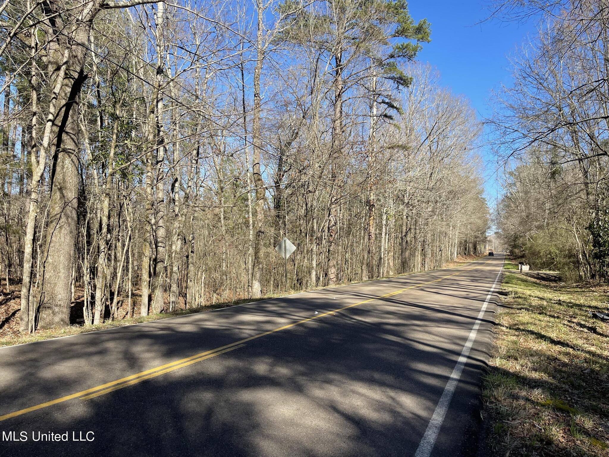 Ms-18 Raymond, MS 39154 - Photo 4 of 17 IMG_3709