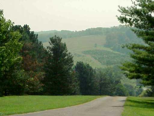 2787 South Bridge Road Washington, PA 15301 - Photo 2 of 6 Other.