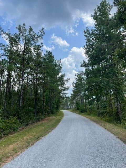331 Co Road Corinth, MS 38834 - Photo 2 of 10 Gallery Image 2