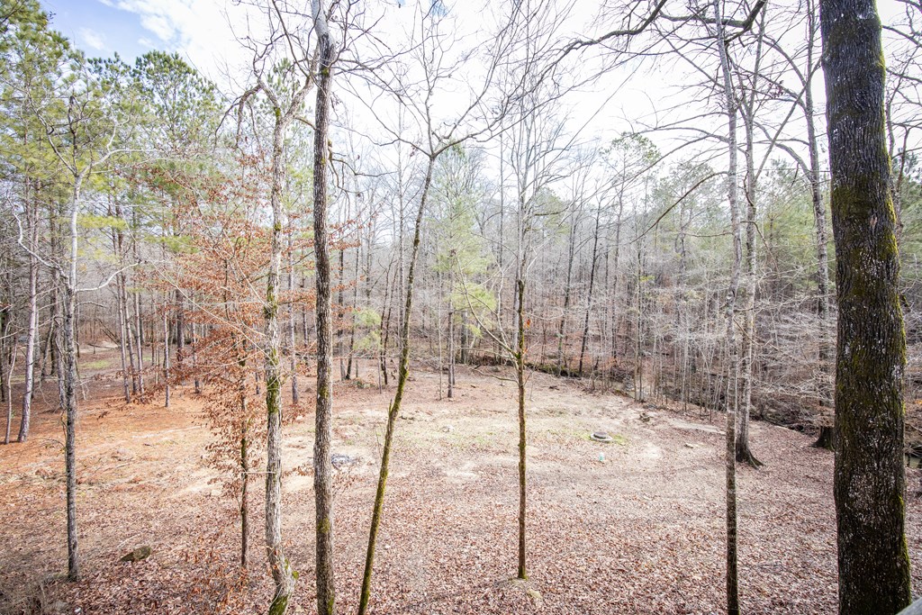 2040 Old Guard Road Columbus, GA 31909 - Photo 53 of 59