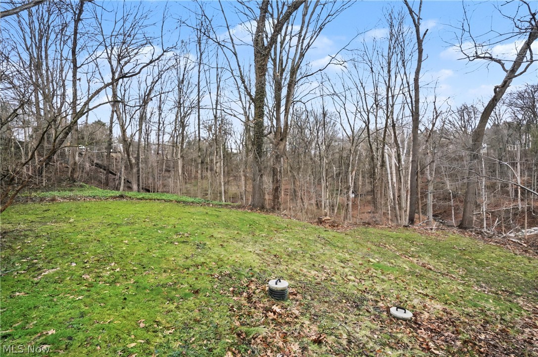 6184 Riverview Road Peninsula, OH 44264 - Photo 31 of 32