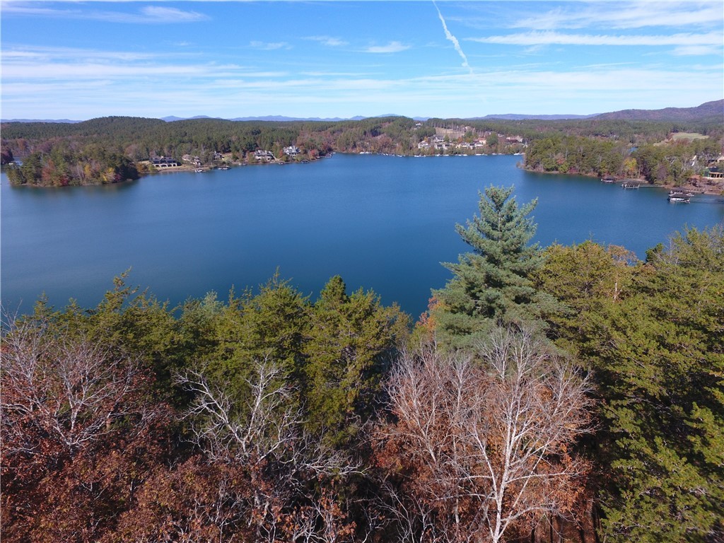 394 Peninsula Ridge, Unit P288 Sunset, SC 29685 - Photo 11 of 23 Gallery Image 11