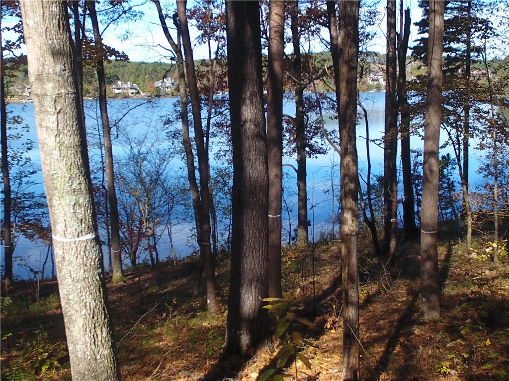 394 Peninsula Ridge, Unit P288 Sunset, SC 29685 - Photo 9 of 23 Gallery Image 9