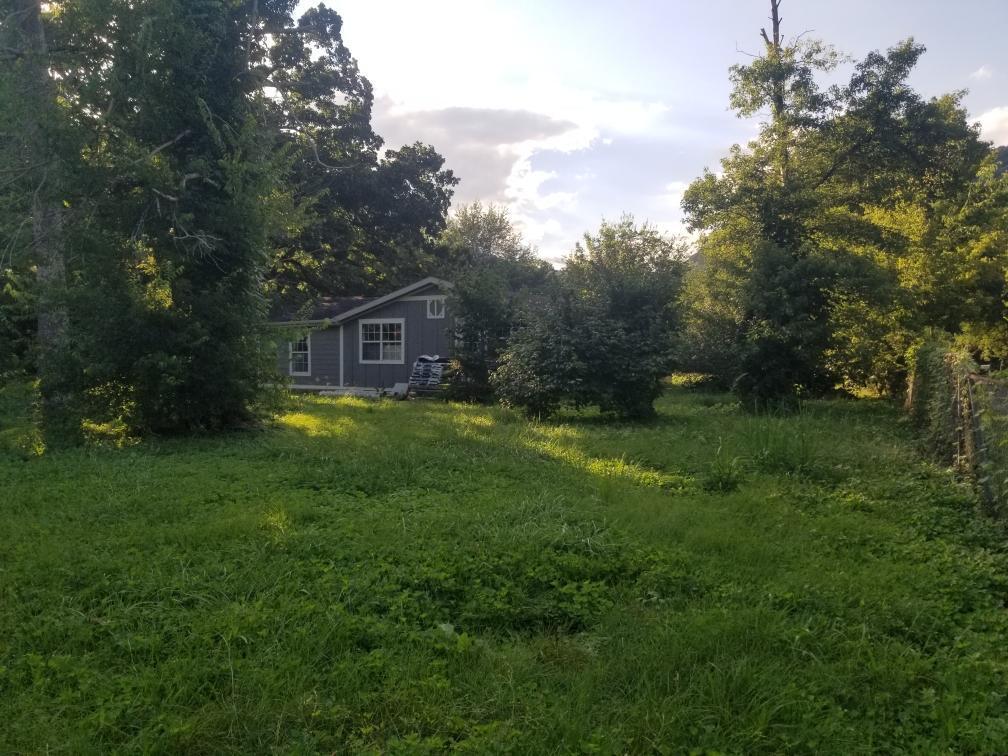 8713 Springfield Road Soddy Daisy, TN 37379 - Photo 3 of 7 spring 1