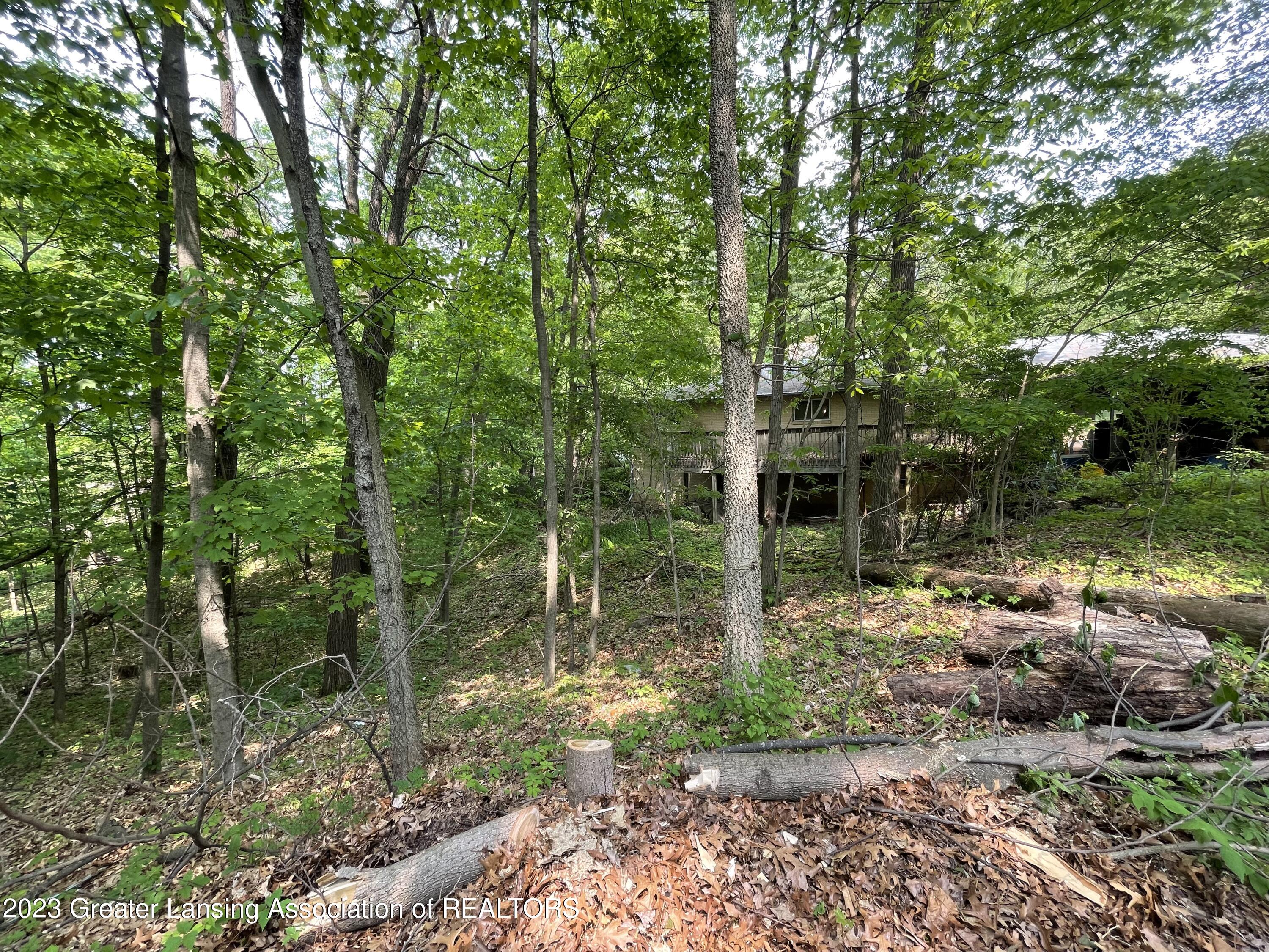 768 South Diamond Road Mason, MI 48854 - Photo 38 of 49 IMG_6258
