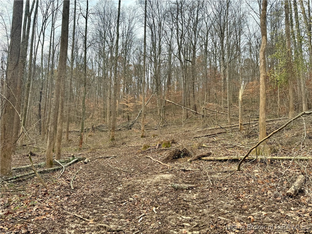 4 Co Rd 375 S French Lick, IN 47432 - Photo 11 of 19