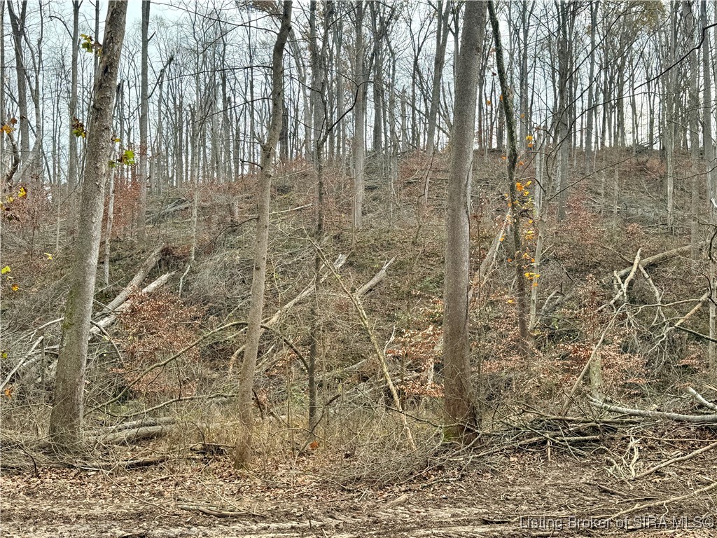 4 Co Rd 375 S French Lick, IN 47432 - Photo 12 of 19