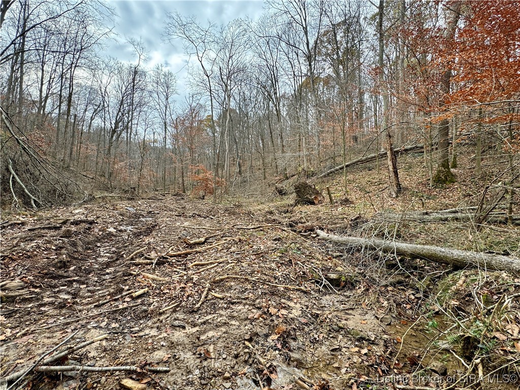 4 Co Rd 375 S French Lick, IN 47432 - Photo 14 of 19