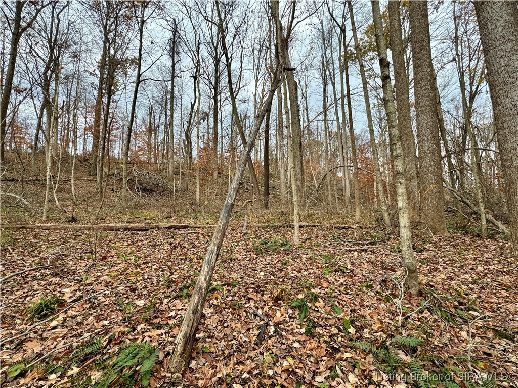 4 Co Rd 375 S French Lick, IN 47432 - Photo 16 of 19