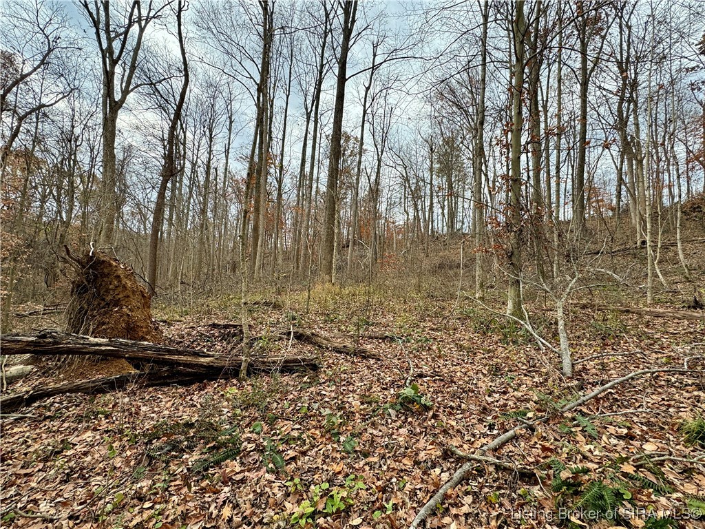 4 Co Rd 375 S French Lick, IN 47432 - Photo 17 of 19