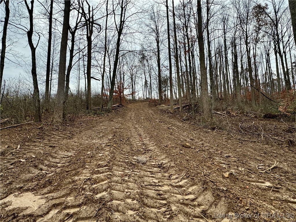 4 Co Rd 375 S French Lick, IN 47432 - Photo 4 of 19